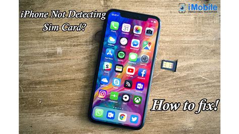 How to Fix iPhone Not Detecting SIM Card (iOS .